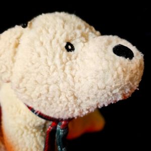 (Both Dog Toys Hugglehounds Squishy Polar Bear Plush Squeakers 🐻‍❄ & Black Bear